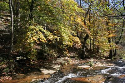 Paisaje del Montseny en Otoño